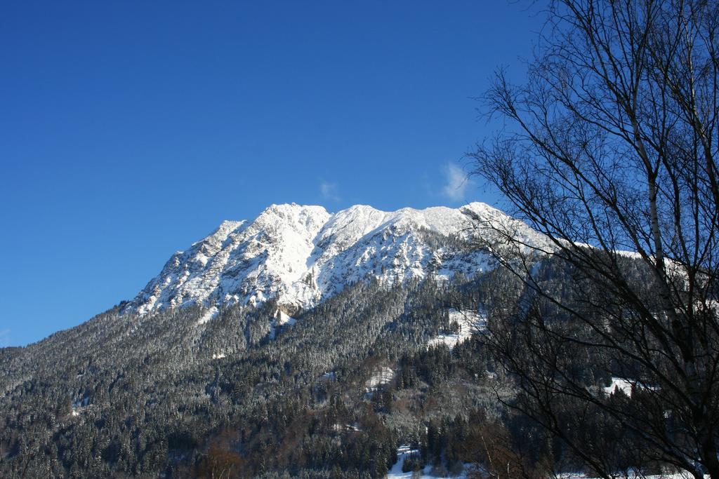 Appartement Haus Partale à Oberstdorf Extérieur photo
